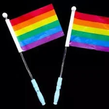 BARRA LED CON BANDERA LGTB TXL-602