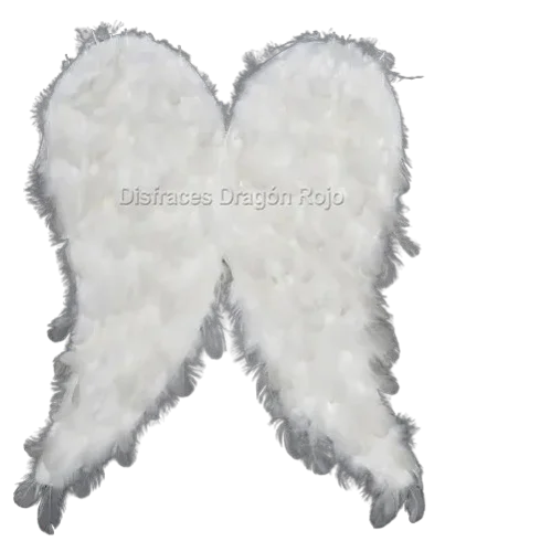 ALAS CON PLUMA CHICA 40*60 Z-W-061 PFM-27CH