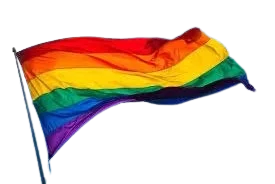 BANDERA ARCOIRIS TXL48 TXL-23 LGTB