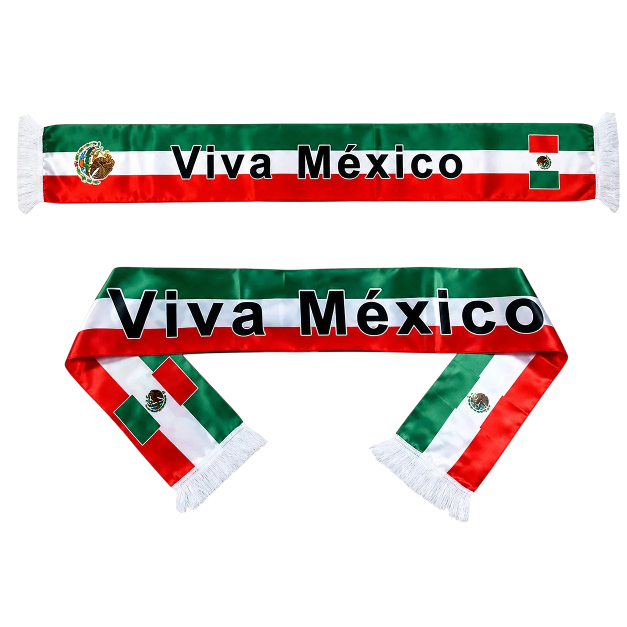 BANDA VIVA MEXICO PFM -240033 